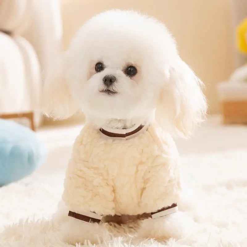 Autumn Warm Pet Hoodies - My Turn