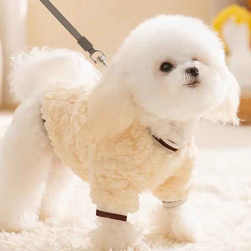 Autumn Warm Pet Hoodies - My Turn