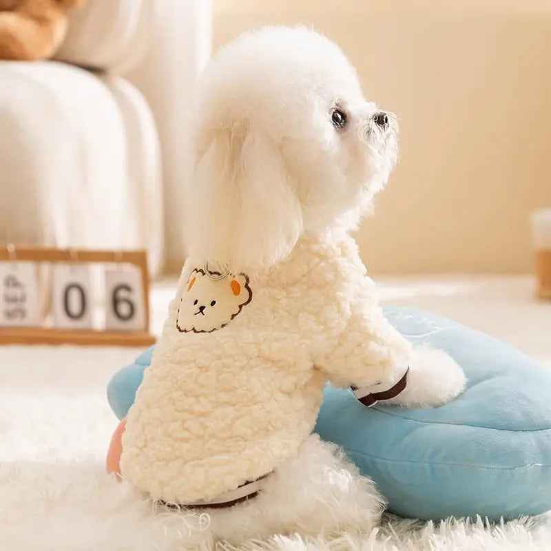 Autumn Warm Pet Hoodies - My Turn